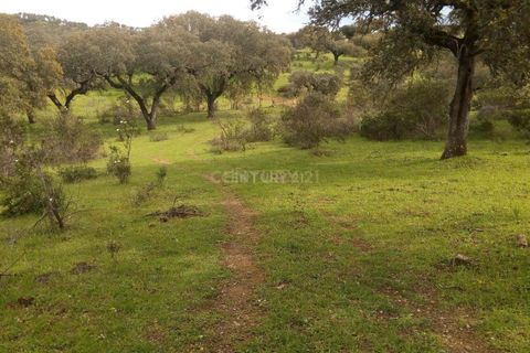 Helårsgrund i Alandroal, Evora, Alandroal - € 35.000 | Ref: C0486-00141 - foto 16