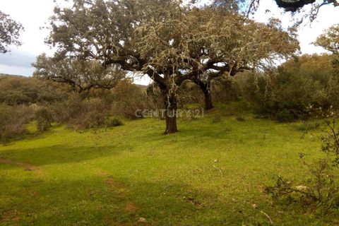 Helårsgrund i Alandroal, Evora, Alandroal - € 35.000 | Ref: C0486-00141 - foto 18