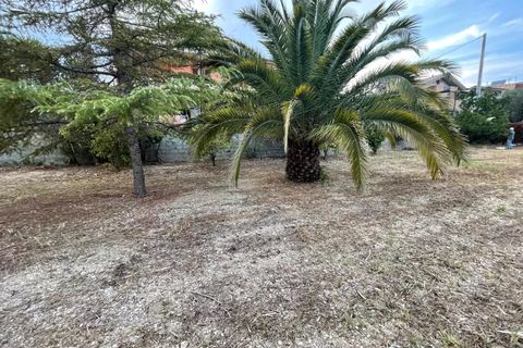 Terra a Silvi, Teramo, Silvi - € 55.000 | Ref: 85317937 - foto 2