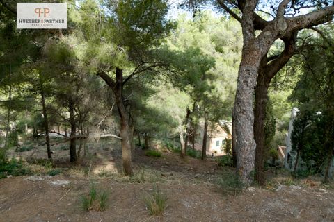 Helårsgrund i Canyamel, Mallorca, Canyamel - € 167.500 | Ref: 24-190 - foto 3