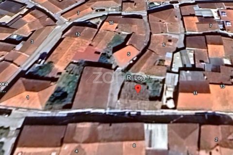 Villa i Anadia, Aveiro, Anadia - € 65.000 | Ref: ZMPT571080 - foto 14