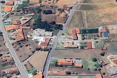 Helårsgrund i Anadia, Aveiro, Anadia - € 50.000 | Ref: ZMPT570694 - foto 20