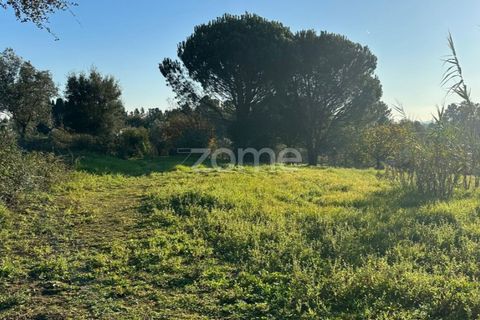 Helårsgrund i Anadia, Aveiro, Anadia - € 50.000 | Ref: ZMPT570694 - foto 2