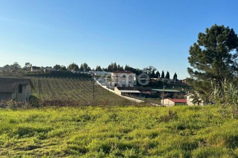 Helårsgrund i Anadia, Aveiro, Anadia - € 50.000 | Ref: ZMPT570694 - foto 15