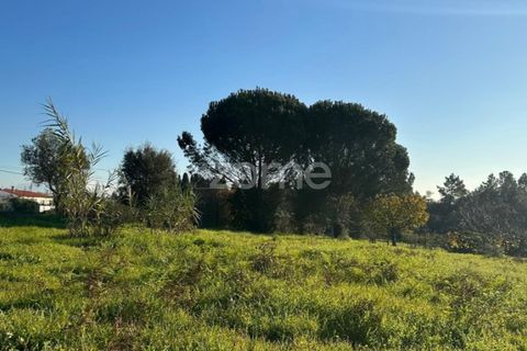 Helårsgrund i Anadia, Aveiro, Anadia - € 50.000 | Ref: ZMPT570694 - foto 16