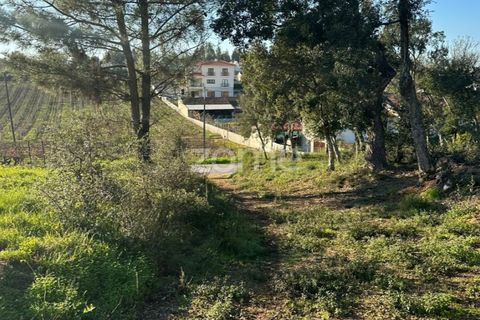 Helårsgrund i Anadia, Aveiro, Anadia - € 50.000 | Ref: ZMPT570694 - foto 6