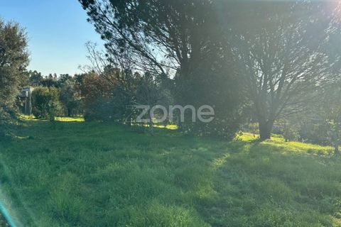 Helårsgrund i Anadia, Aveiro, Anadia - € 50.000 | Ref: ZMPT570694 - foto 7