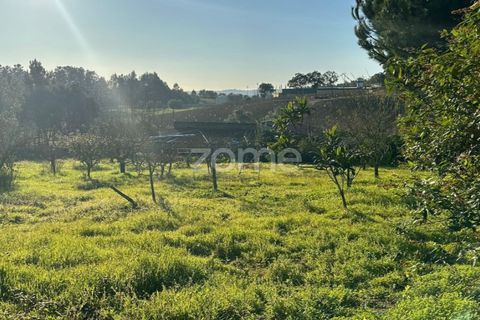 Helårsgrund i Anadia, Aveiro, Anadia - € 50.000 | Ref: ZMPT570694 - foto 8