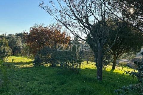 Helårsgrund i Anadia, Aveiro, Anadia - € 50.000 | Ref: ZMPT570694 - foto 10