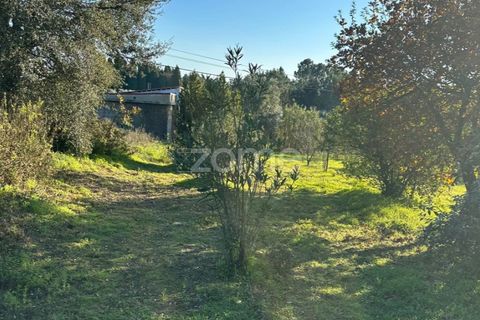 Helårsgrund i Anadia, Aveiro, Anadia - € 50.000 | Ref: ZMPT570694 - foto 12