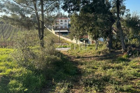 Helårsgrund i Anadia, Aveiro, Anadia - € 50.000 | Ref: ZMPT570694 - foto 14