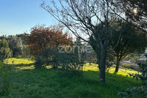 Helårsgrund i Anadia, Aveiro, Anadia - € 50.000 | Ref: ZMPT570694 - foto 18