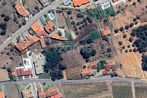 Helårsgrund i Anadia, Aveiro, Anadia - € 50.000 | Ref: ZMPT570694 - foto 19
