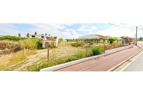 Helårsgrund i Cadaval, Lisbon, Cadaval - € 89.000 | Ref: CL24065 - foto 1