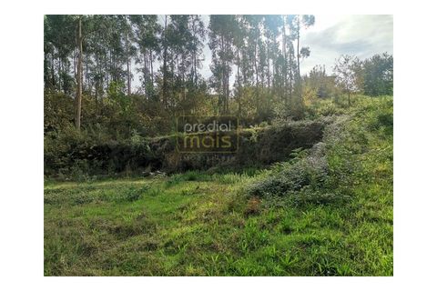 Helårsgrund i Penafiel, Porto, Penafiel - € 67.500 | Ref: 1047 - foto 3