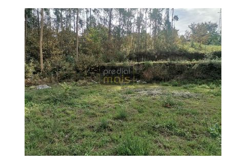 Helårsgrund i Penafiel, Porto, Penafiel - € 67.500 | Ref: 1047 - foto 4