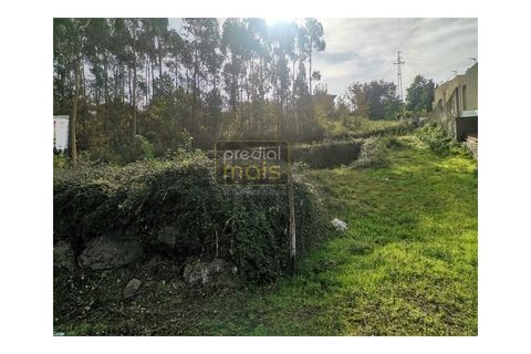 Helårsgrund i Penafiel, Porto, Penafiel - € 67.500 | Ref: 1047 - foto 5