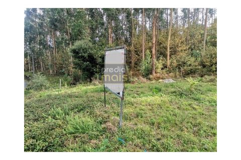 Helårsgrund i Penafiel, Porto, Penafiel - € 67.500 | Ref: 1047 - foto 6