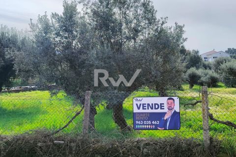Terra a Fundao, Castelo Branco, Fundao - € 47.900 | Ref: RW002 - foto 2