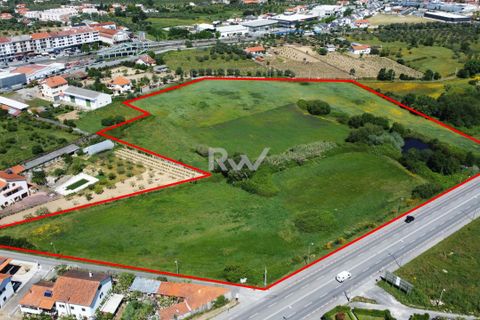 Tomt i Fundao, Castelo Branco, Fundao - € 1 950 000 | Ref: RW007 - foto 3