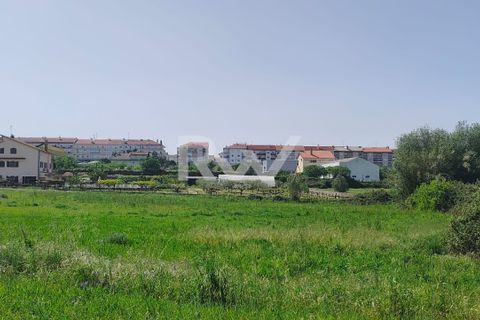 Tomt i Fundao, Castelo Branco, Fundao - € 1 950 000 | Ref: RW007 - foto 5