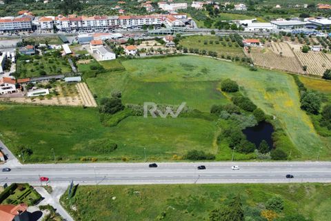 Tomt i Fundao, Castelo Branco, Fundao - € 1 950 000 | Ref: RW007 - foto 8