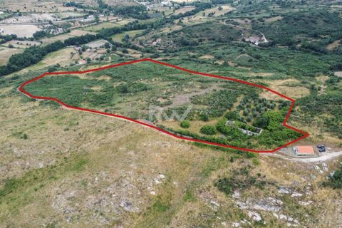 Terra a Linhares, Braganca, Linhares - € 200.000 | Ref: RW011 - foto 2