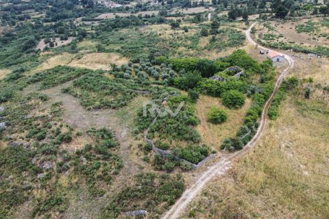 Terra a Linhares, Braganca, Linhares - € 200.000 | Ref: RW011 - foto 3