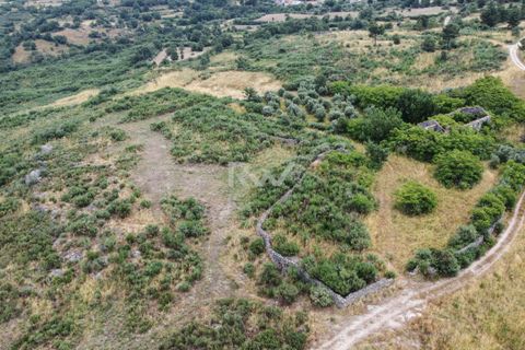 Terra a Linhares, Braganca, Linhares - € 200.000 | Ref: RW011 - foto 4