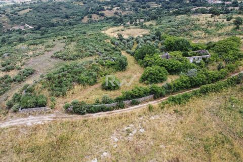 Terra a Linhares, Braganca, Linhares - € 200.000 | Ref: RW011 - foto 5