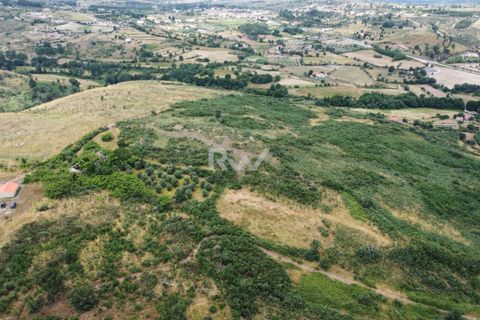 Terra a Linhares, Braganca, Linhares - € 200.000 | Ref: RW011 - foto 6