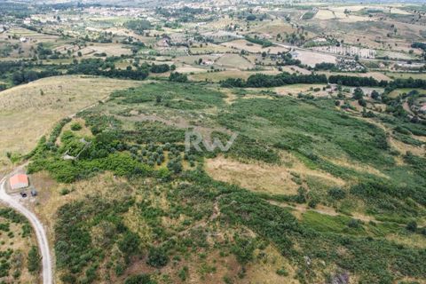 Terra a Linhares, Braganca, Linhares - € 200.000 | Ref: RW011 - foto 7