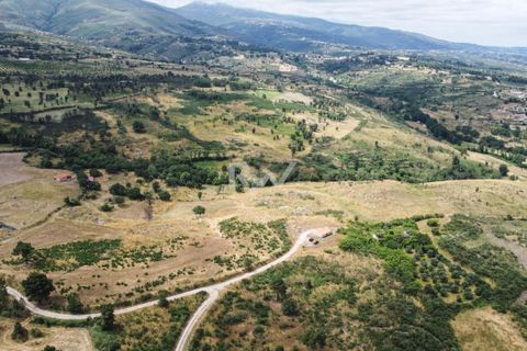 Terra a Linhares, Braganca, Linhares - € 200.000 | Ref: RW011 - foto 9