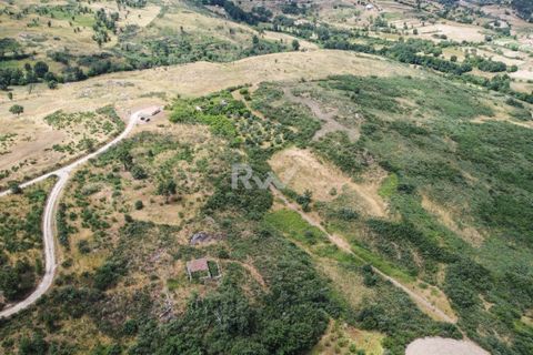 Terra a Linhares, Braganca, Linhares - € 200.000 | Ref: RW011 - foto 10