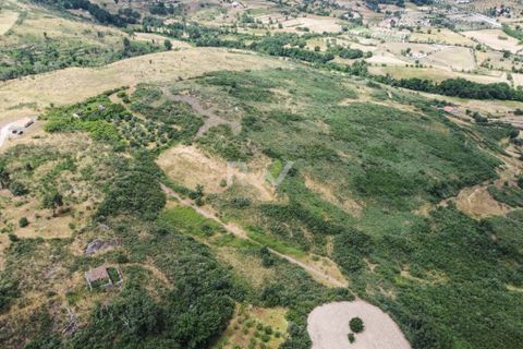 Terra a Linhares, Braganca, Linhares - € 200.000 | Ref: RW011 - foto 11