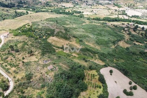 Terra a Linhares, Braganca, Linhares - € 200.000 | Ref: RW011 - foto 12