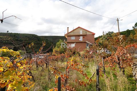 Villa a Teixoso, Castelo Branco, Teixoso - € 199.500 | Ref: RW016 - foto 12