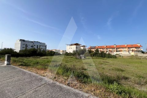 Helårsgrund i Vagos, Aveiro, Vagos - € 455.000 | Ref: 1012021/24 GL - foto 5