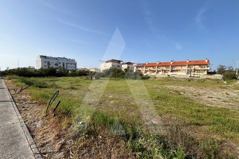 Helårsgrund i Vagos, Aveiro, Vagos - € 455.000 | Ref: 1012021/24 GL - foto 6