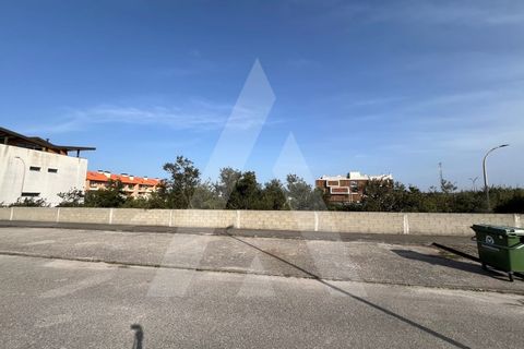 Helårsgrund i Vagos, Aveiro, Vagos - € 455.000 | Ref: 1012021/24 GL - foto 7