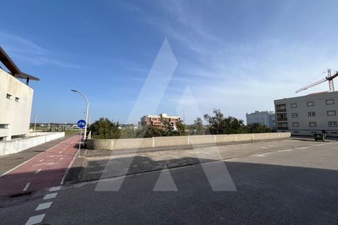 Helårsgrund i Vagos, Aveiro, Vagos - € 455.000 | Ref: 1012021/24 GL - foto 8