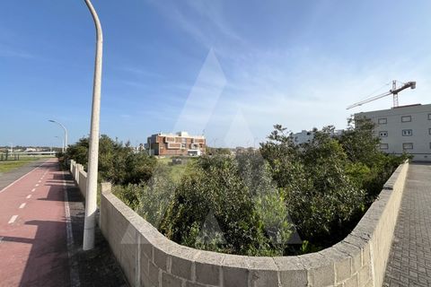 Helårsgrund i Vagos, Aveiro, Vagos - € 455.000 | Ref: 1012021/24 GL - foto 10