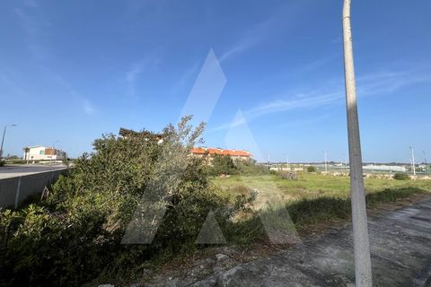 Helårsgrund i Vagos, Aveiro, Vagos - € 455.000 | Ref: 1012021/24 GL - foto 12