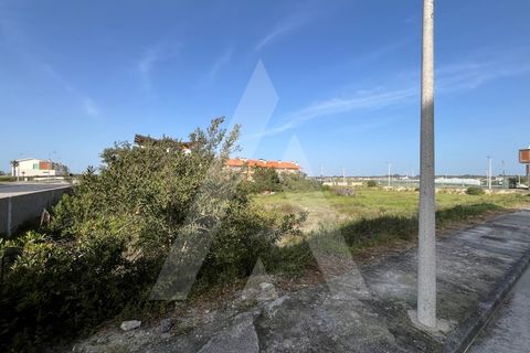 Helårsgrund i Vagos, Aveiro, Vagos - € 455.000 | Ref: 1012021/24 GL - foto 13