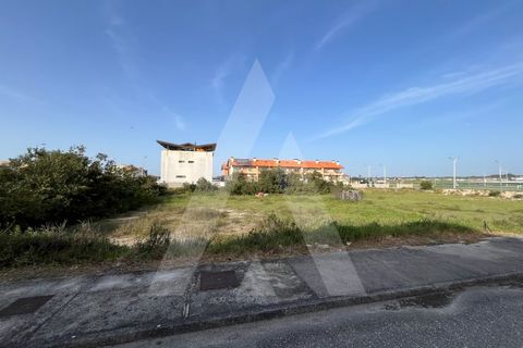 Helårsgrund i Vagos, Aveiro, Vagos - € 455.000 | Ref: 1012021/24 GL - foto 14