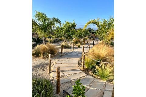 Farm i Santo Andre, Setubal, Santo Andre - € 1.200.000 | Ref: PHS690/24 - foto 44