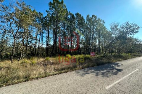 Helårsgrund i Ourem, Santarem, Ourem - € 6.000 | Ref: 1293 - foto 2