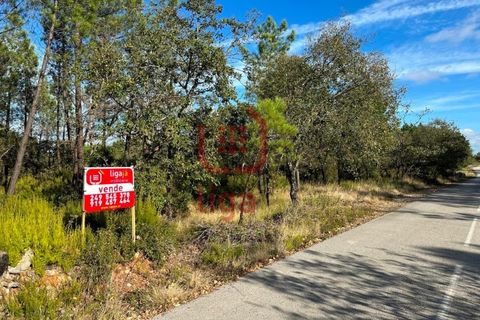 Helårsgrund i Ourem, Santarem, Ourem - € 6.000 | Ref: 1293 - foto 3