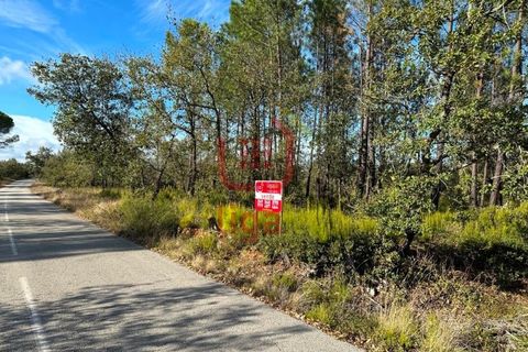 Helårsgrund i Ourem, Santarem, Ourem - € 6.000 | Ref: 1293 - foto 4