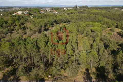 Helårsgrund i Ourem, Santarem, Ourem - € 6.000 | Ref: 1293 - foto 5